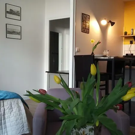 Les Tulipiers, Parking Securise, Lit Queen-size, Centre
