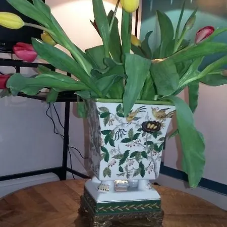 Daire Les Tulipiers, Parking Securise, Lit Queen-size, Centre