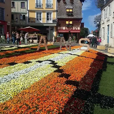 Les Tulipiers, Parking Securise, Lit Queen-size, Centre Le Mans