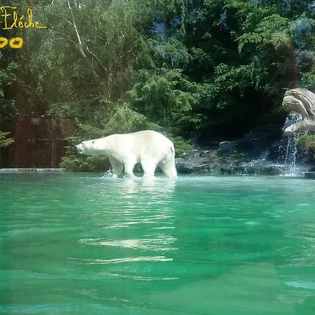 Les Tulipiers, Parking Sécurisé, Lit Queen-size, Bord De Sarthe Apartamento Le Mans