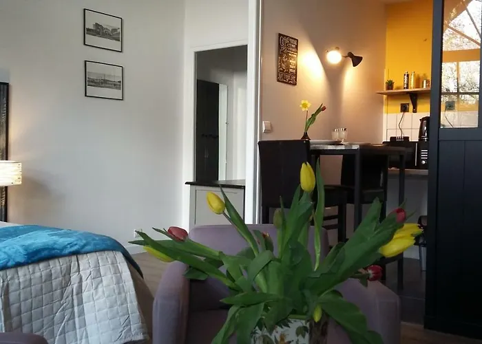 Les Tulipiers, Parking Securise, Lit Queen-size, Centre