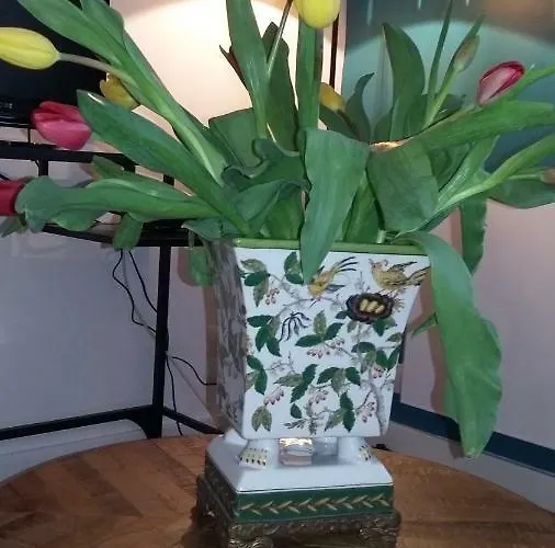 Apartment Les Tulipiers, Parking Securise, Lit Queen-size, Centre